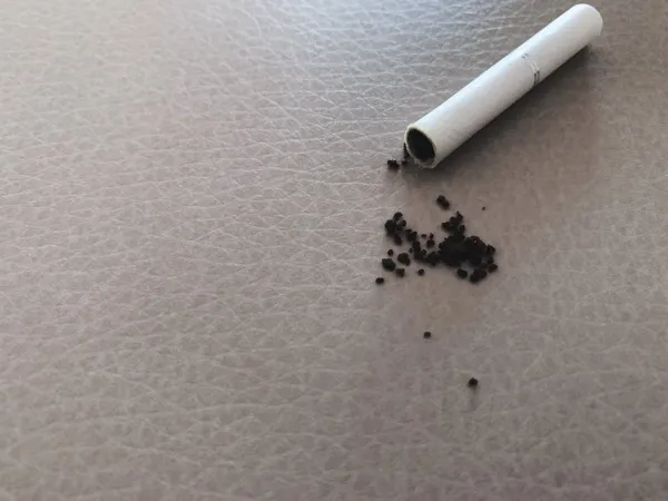 ニコノン_メンソール_シトラス3