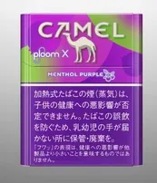 キャメルパープル