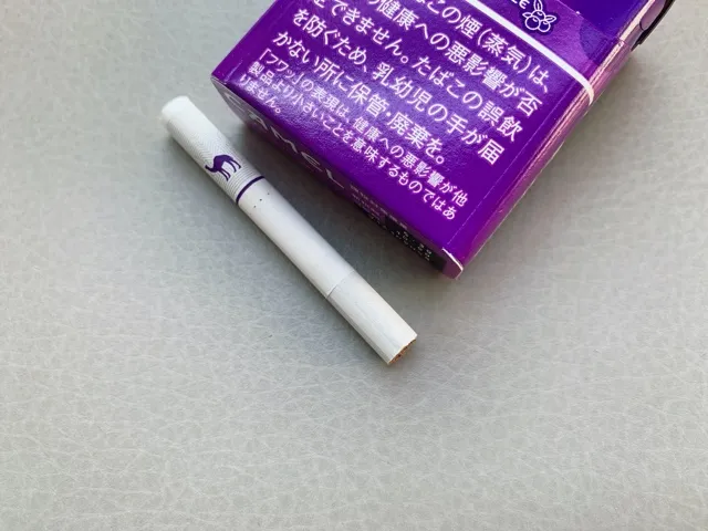 キャメルパープル4