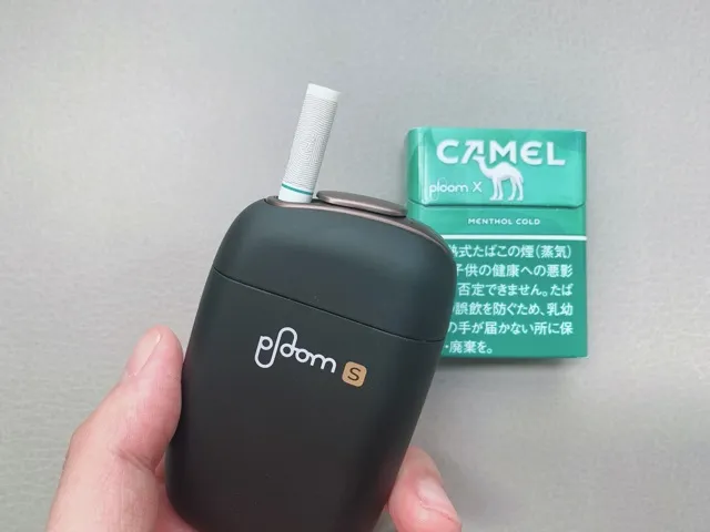 キャメルメンソール4